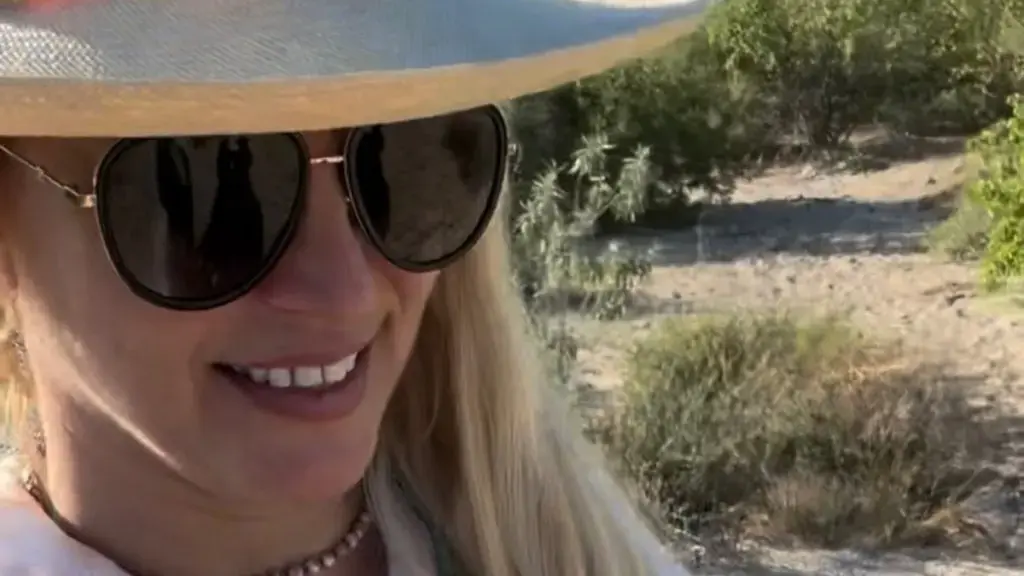 Britney Spears' Latest Dance Video Features Daring Micro Mini