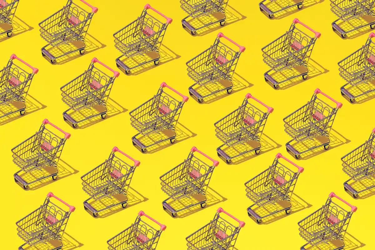 Smart Shopping: Ditching Disposables for Lasting Value