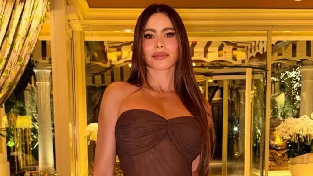 Sofia Vergara's Sheer Corset Steals the Show