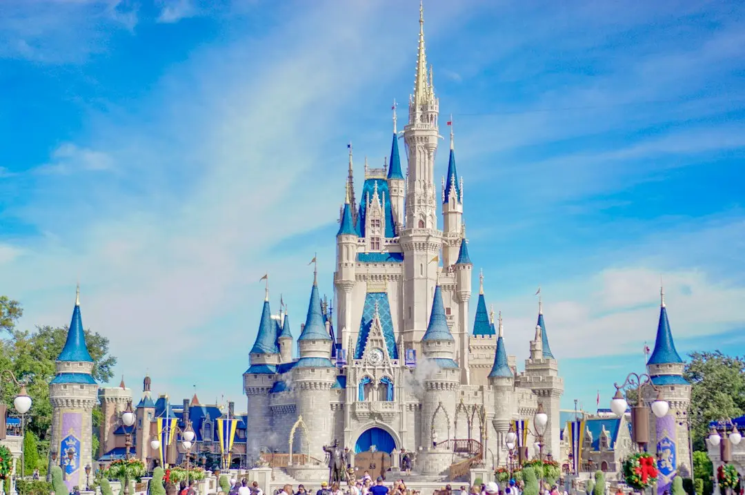 Disney Partners With Designer Danielle DiFerdinando for Exclusive Handbag Collection