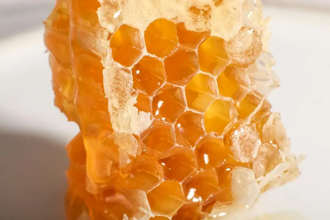 Sweet Bee Organics Scales to $32M in U.S. Sales