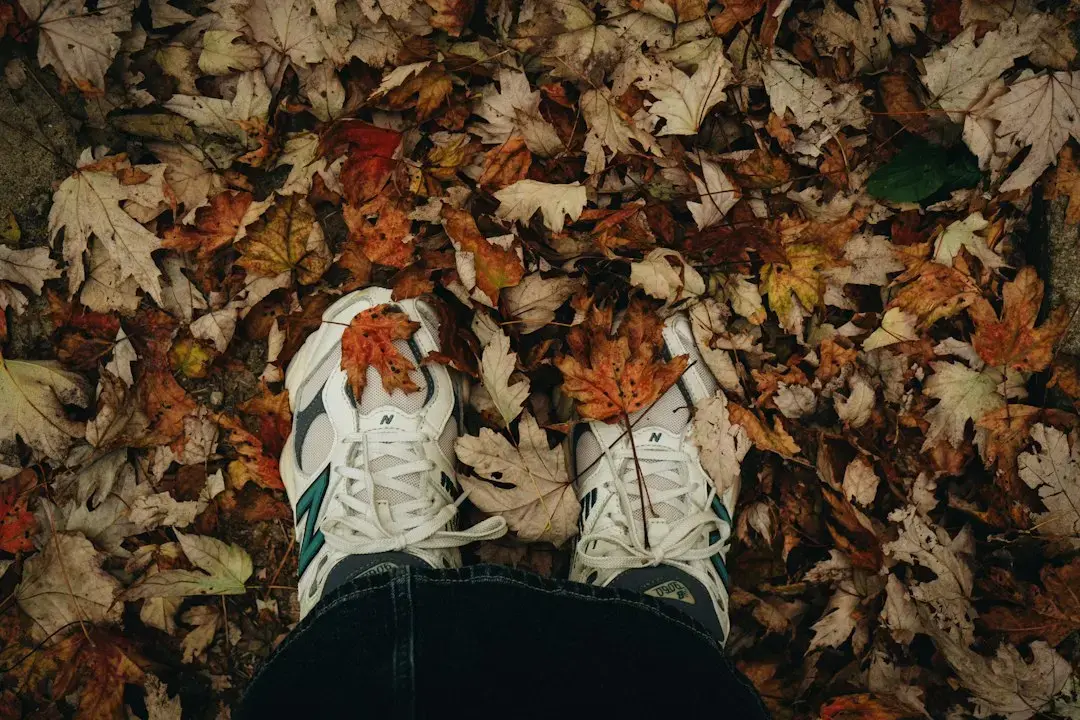 The Rise of Sneakerinas for Autumn