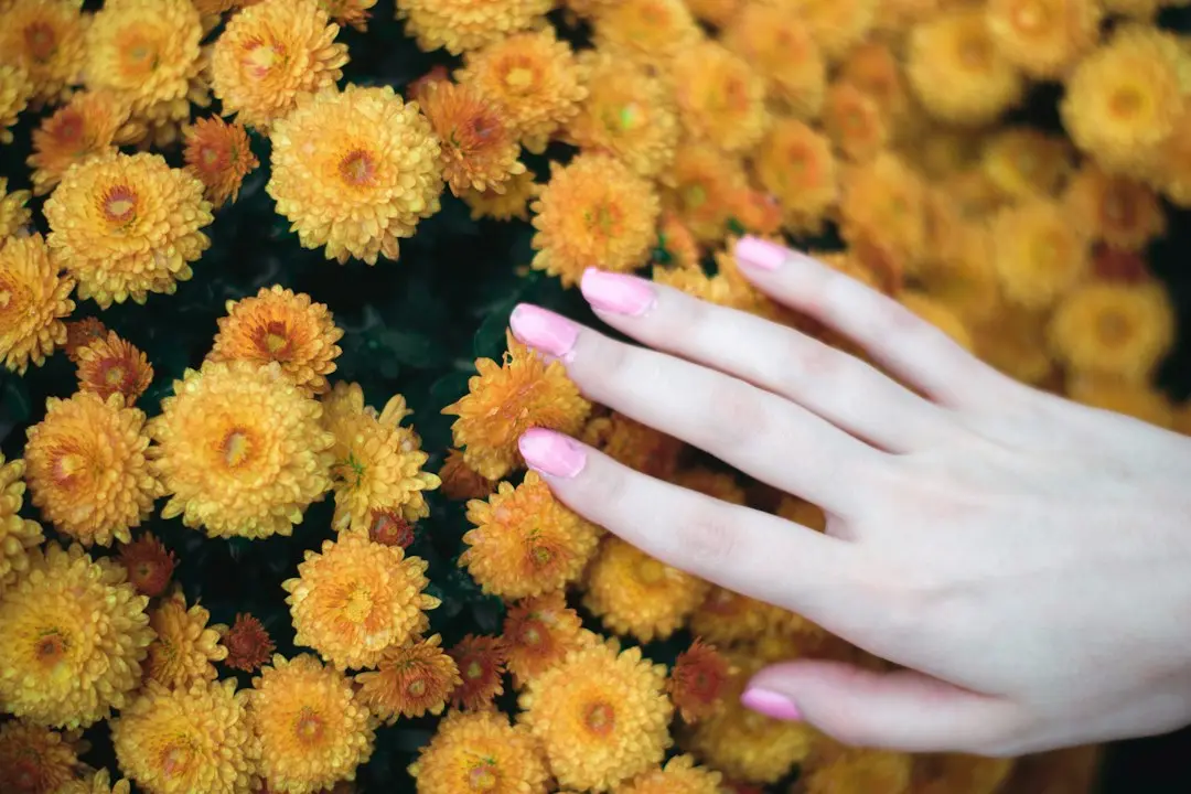 The Pumpkin‑Inspired Fall Manicure Trend