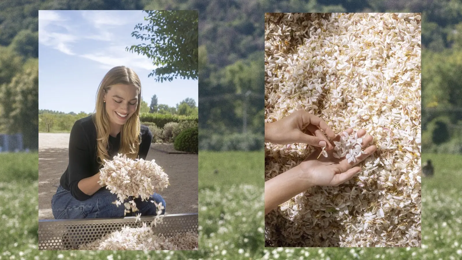 Inside the Secret Craft of Chanel’s Timeless Signature Scent